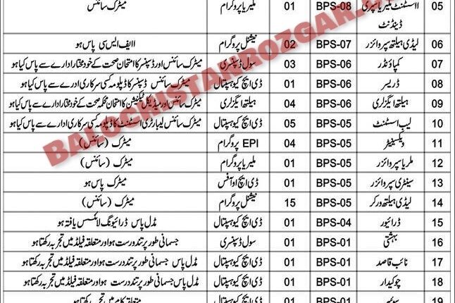 Health Department Barkhan Jobs 2024