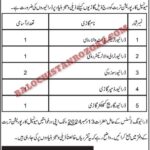 Municipal Corporation Turbat Driver